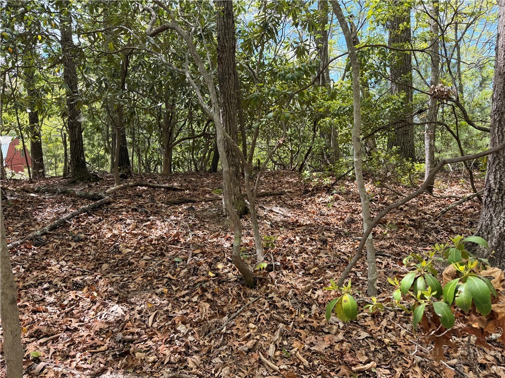 Tbd Elk Ridge Road Property Photo 5