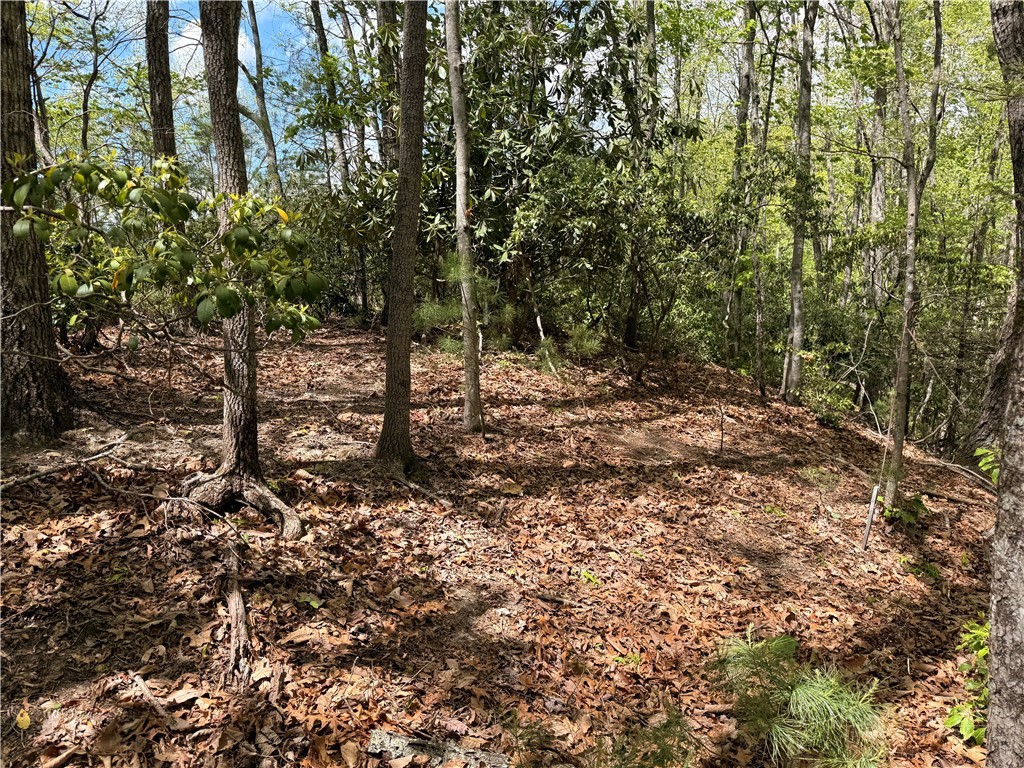 Tbd Elk Ridge Road Property Photo 6