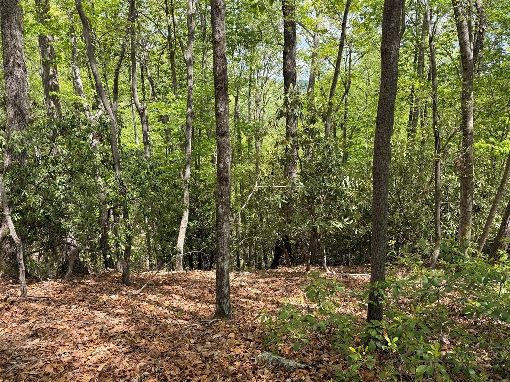 Tbd Elk Ridge Road Property Photo 7
