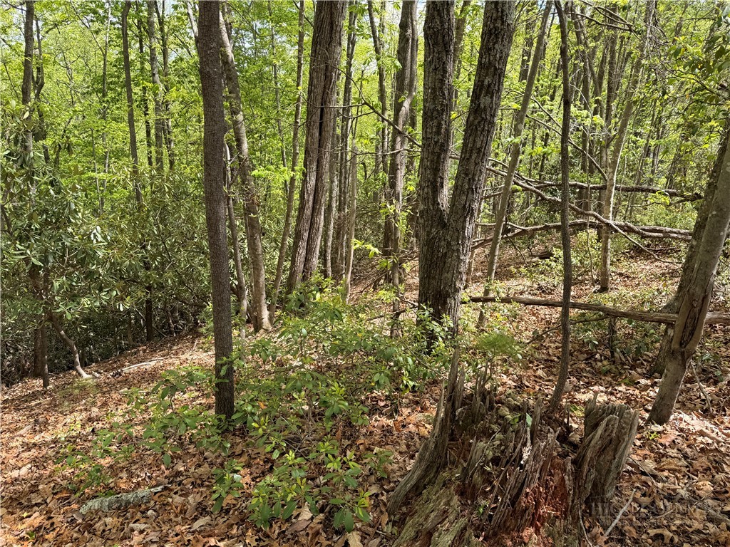 Tbd Elk Ridge Road Property Photo 8