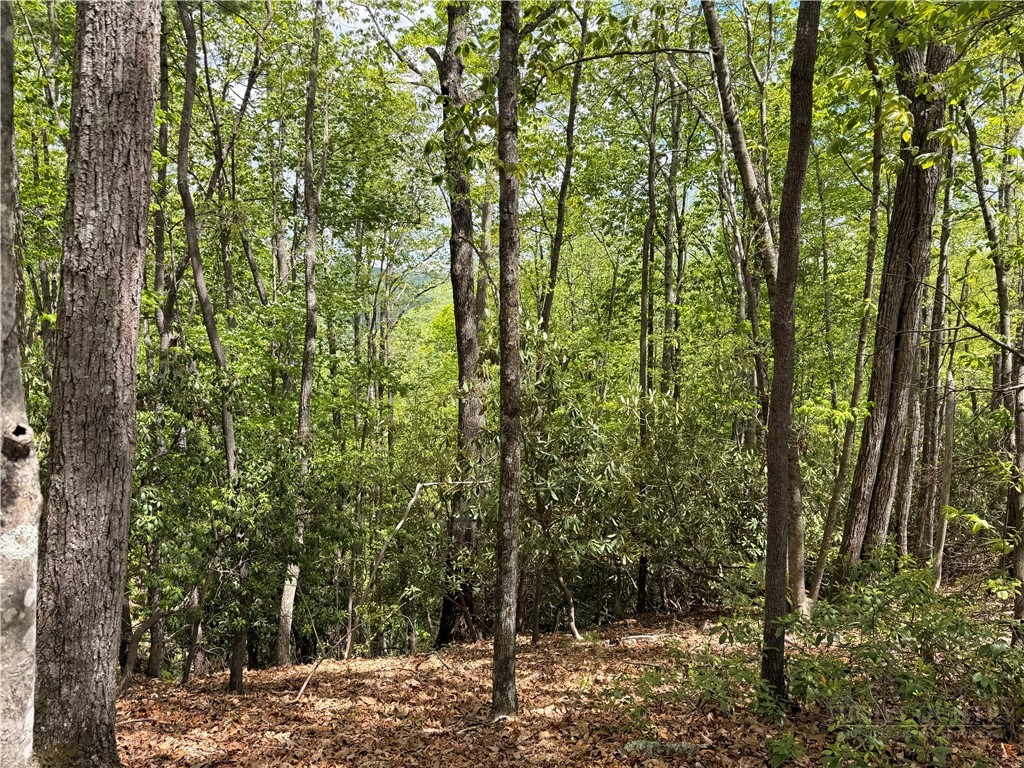 Tbd Elk Ridge Road Property Photo 9