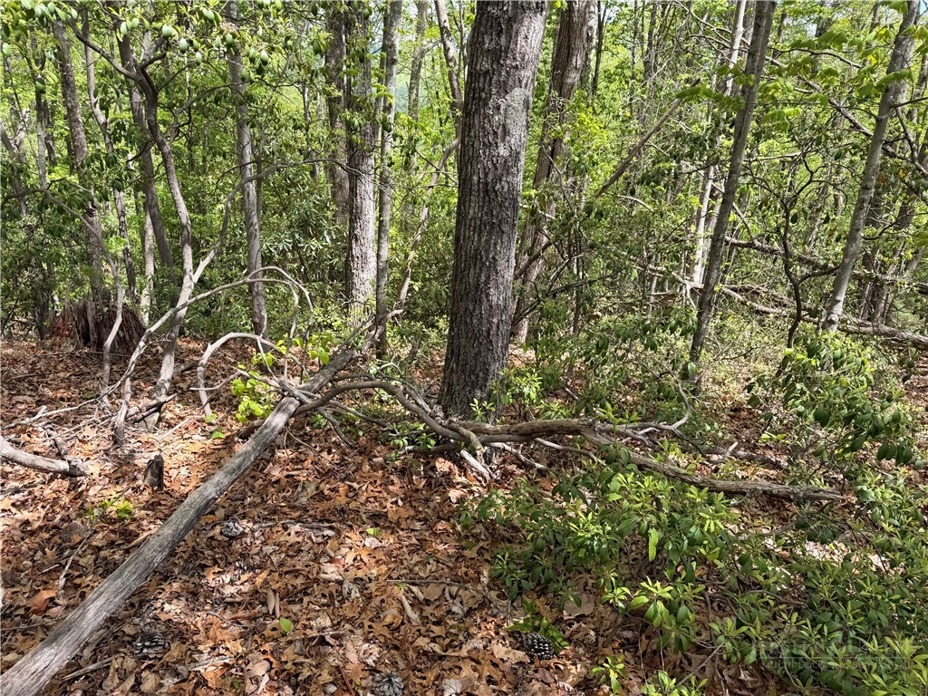 Tbd Elk Ridge Road Property Photo 10