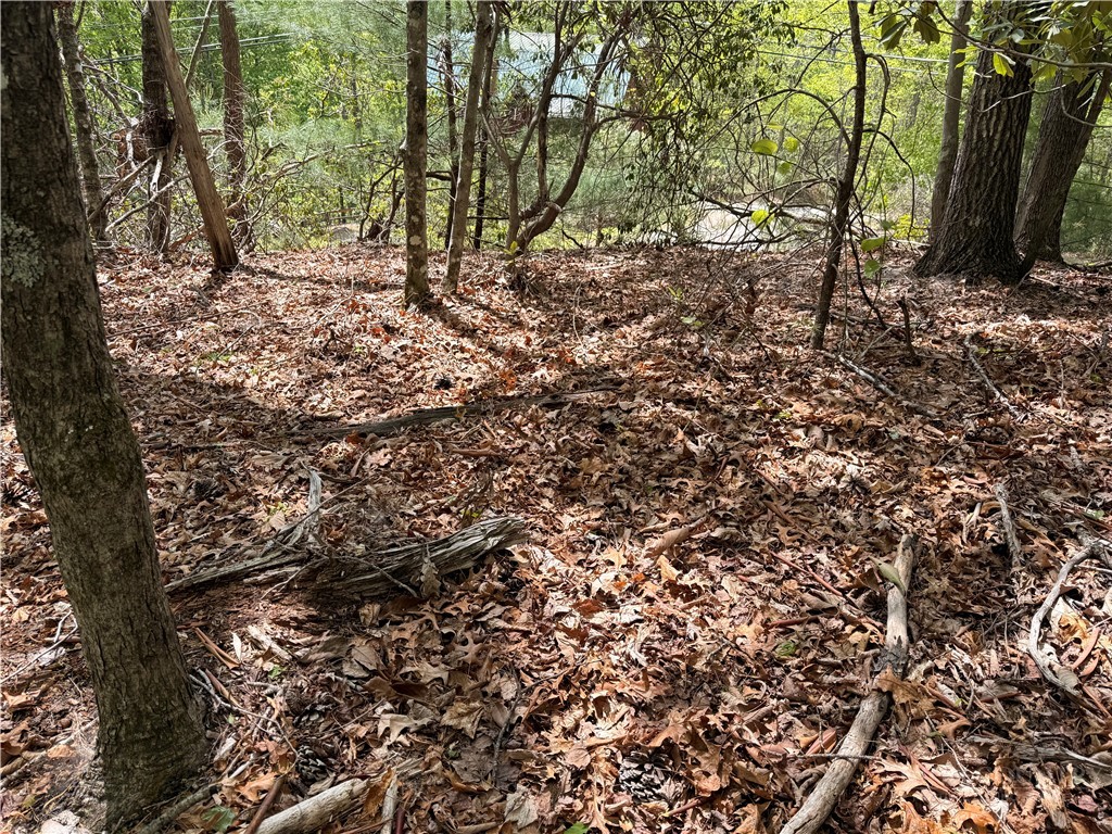 Tbd Elk Ridge Road Property Photo 11