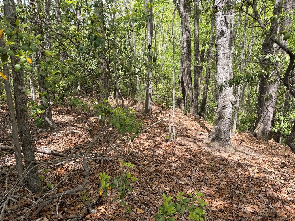 Tbd Elk Ridge Road Property Photo 13