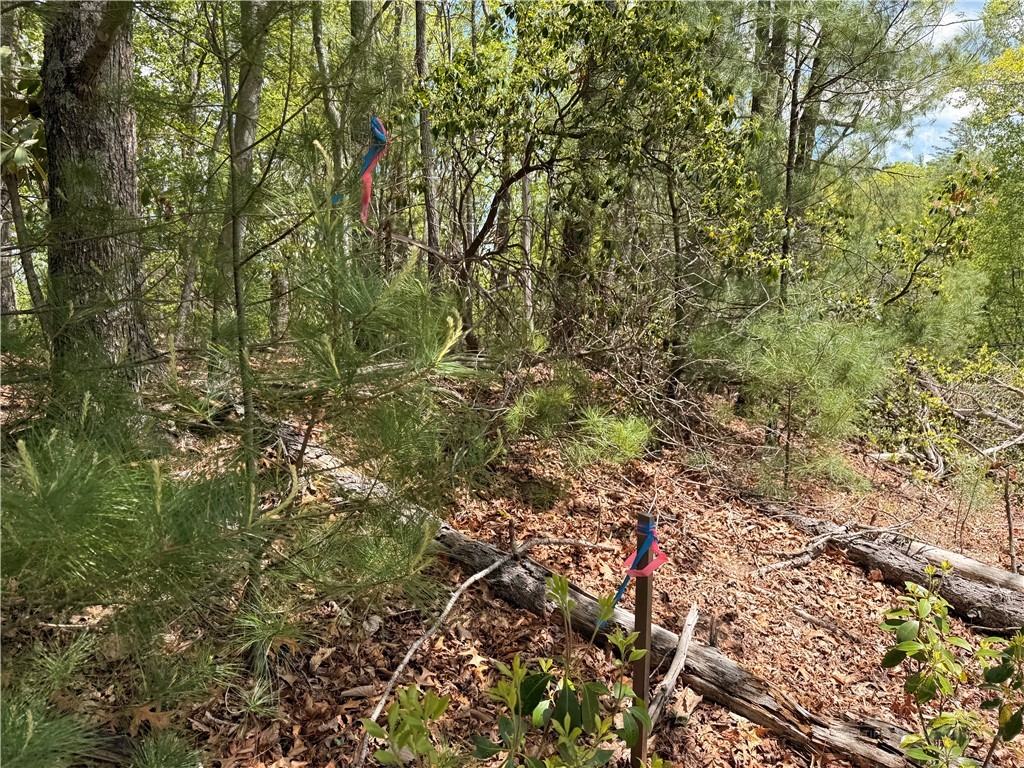 Tbd Elk Ridge Road Property Photo 14