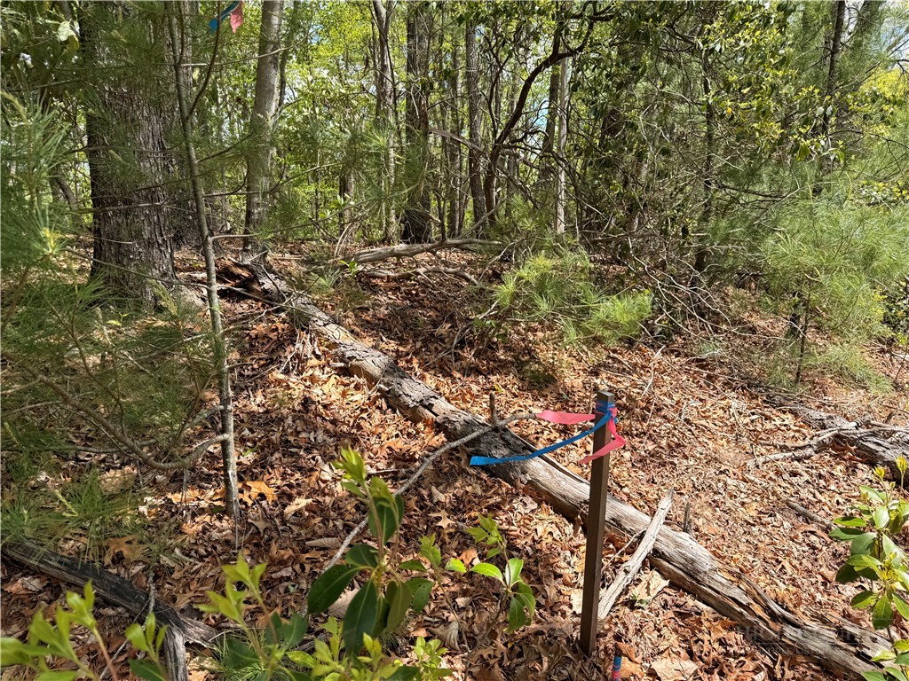 Tbd Elk Ridge Road Property Photo 15