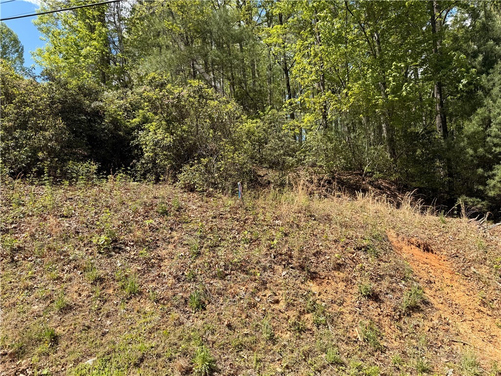 Tbd Elk Ridge Road Property Photo 16
