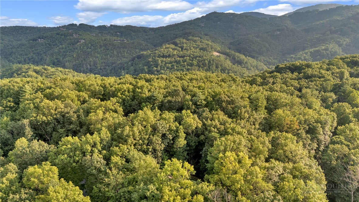 Tbd Elk Ridge Road Property Photo 18