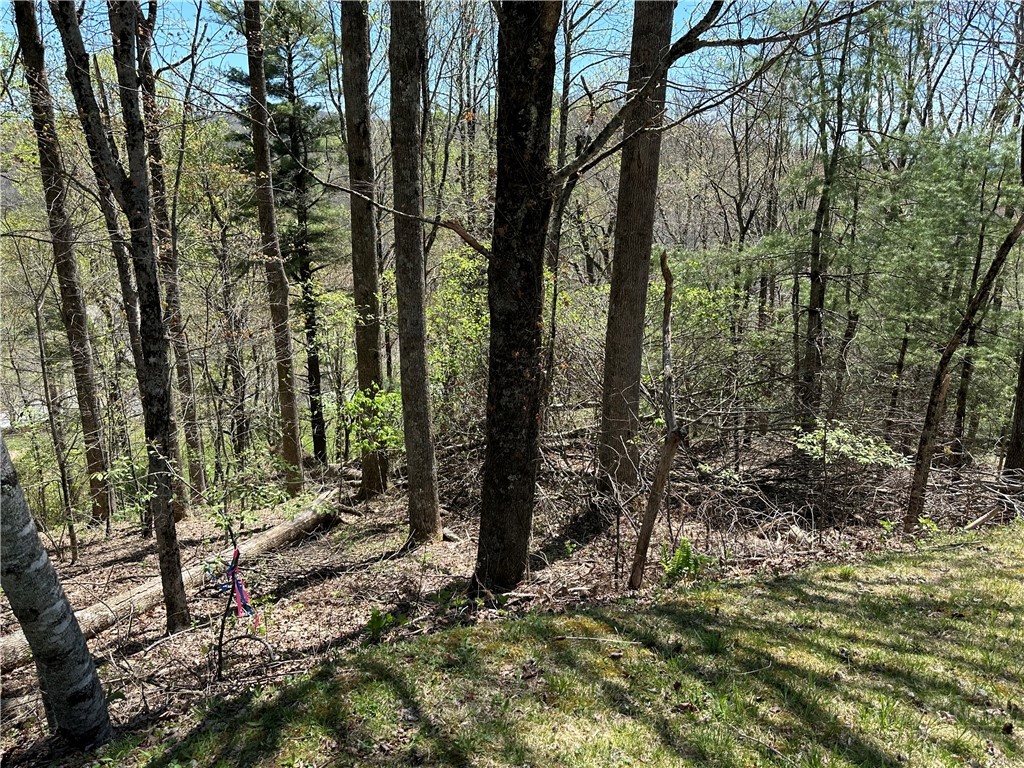Lot 5 Churchill Downs Property Photo 25