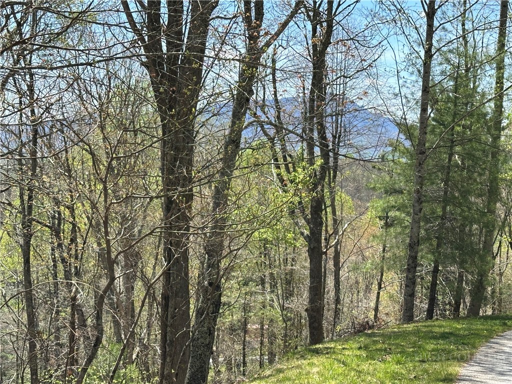 Lot 5 Churchill Downs Property Photo 34