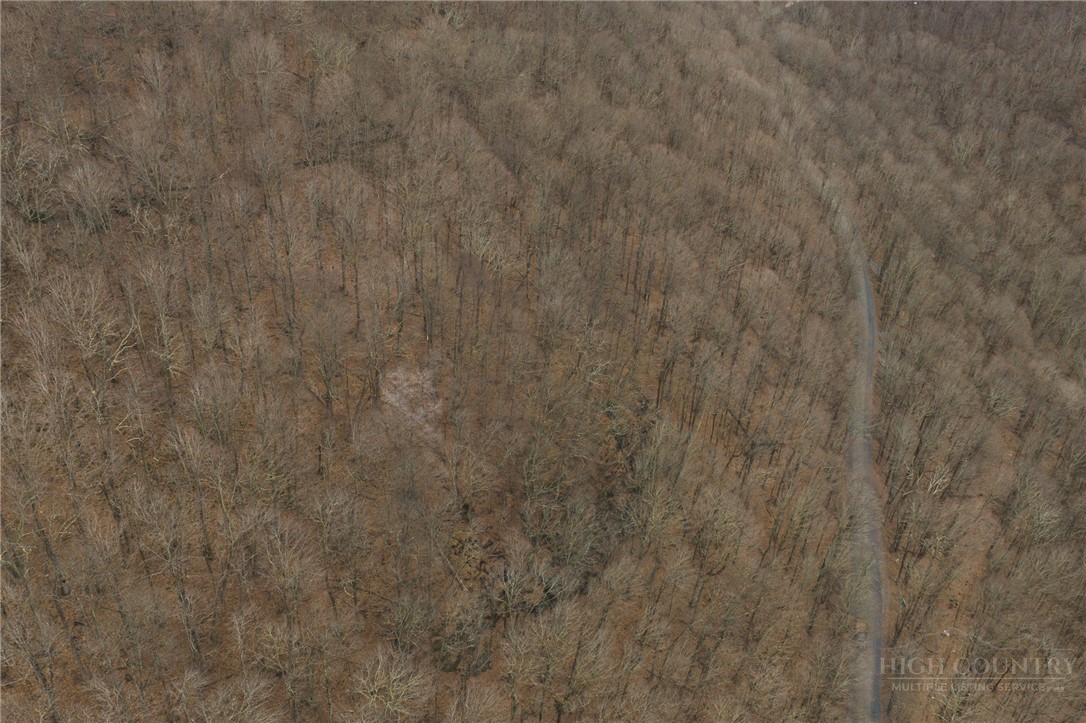 000 Tater Hill Road Property Photo 5