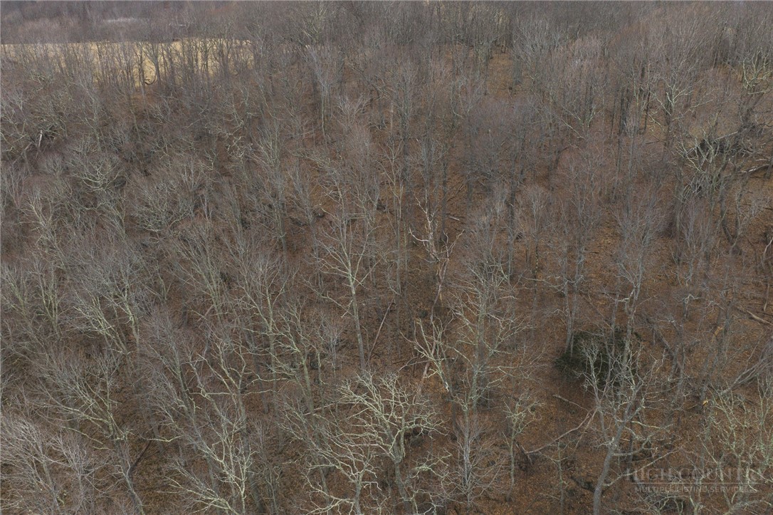 000 Tater Hill Road Property Photo 6