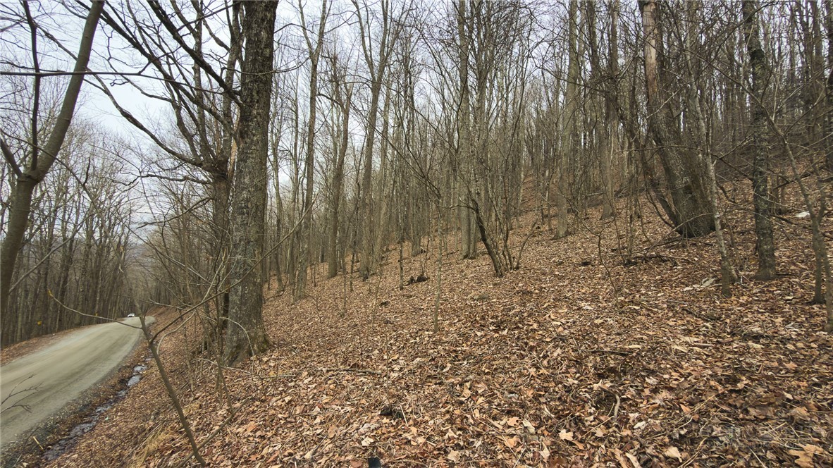 000 Tater Hill Road Property Photo 13