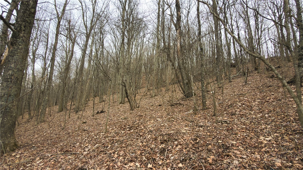 000 Tater Hill Road Property Photo 14