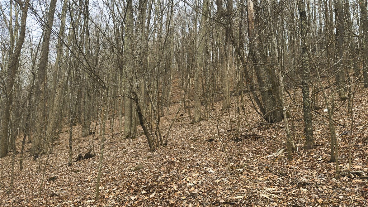 000 Tater Hill Road Property Photo 15