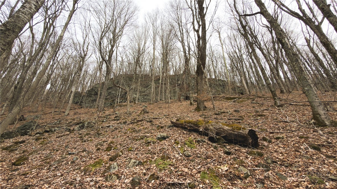 000 Tater Hill Road Property Photo 18