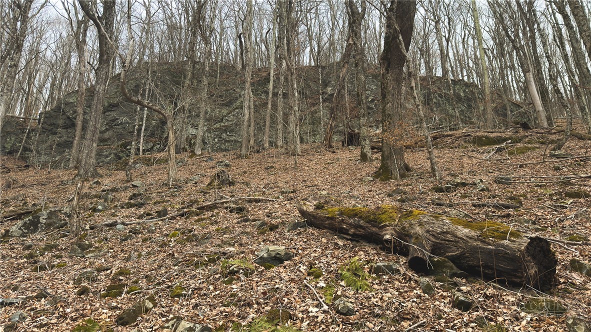 000 Tater Hill Road Property Photo 19