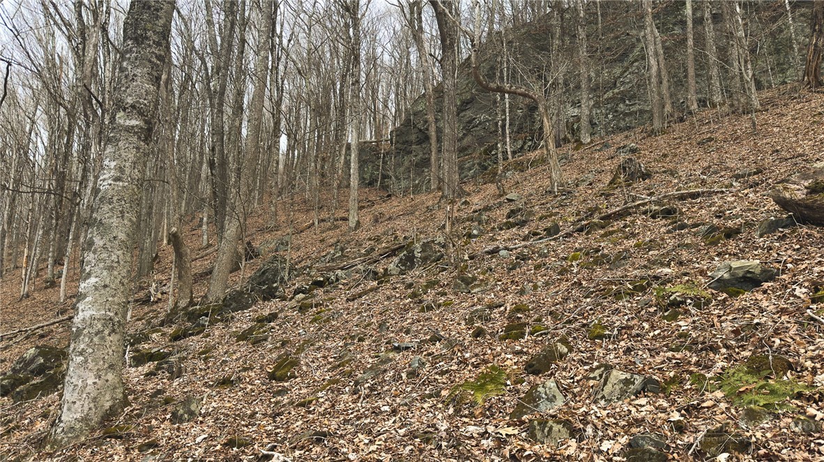 000 Tater Hill Road Property Photo 21