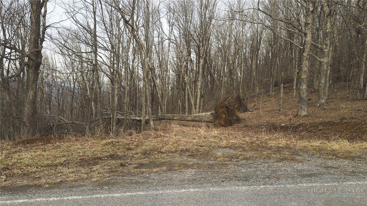 000 Tater Hill Road Property Photo 23