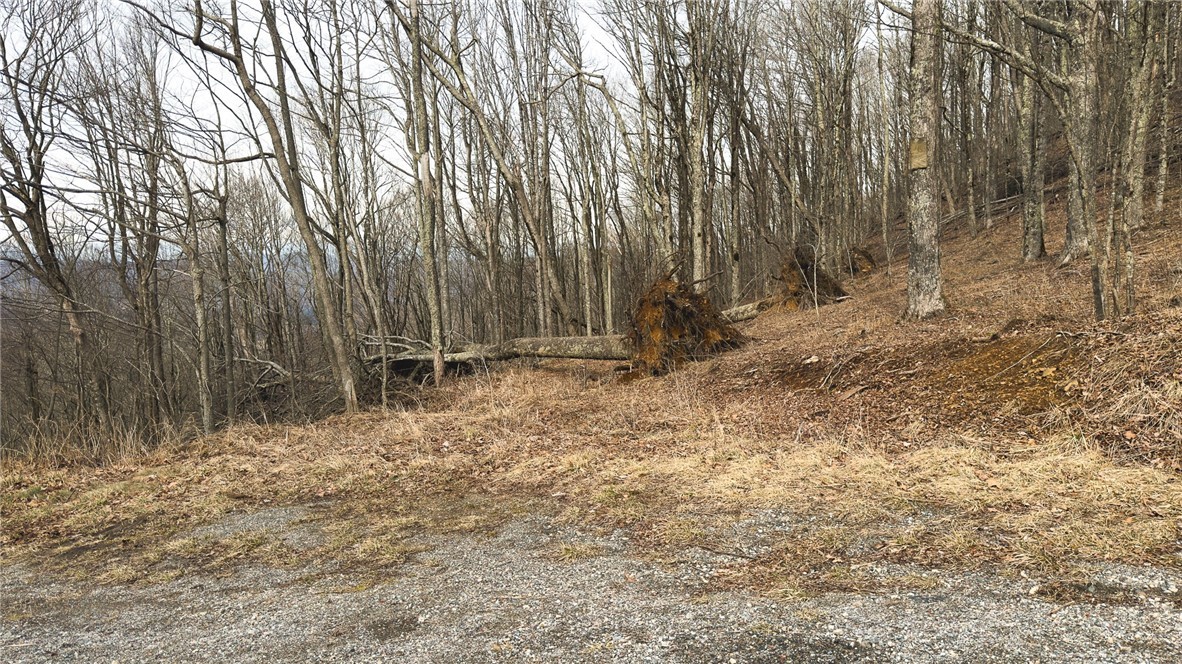 000 Tater Hill Road Property Photo 25
