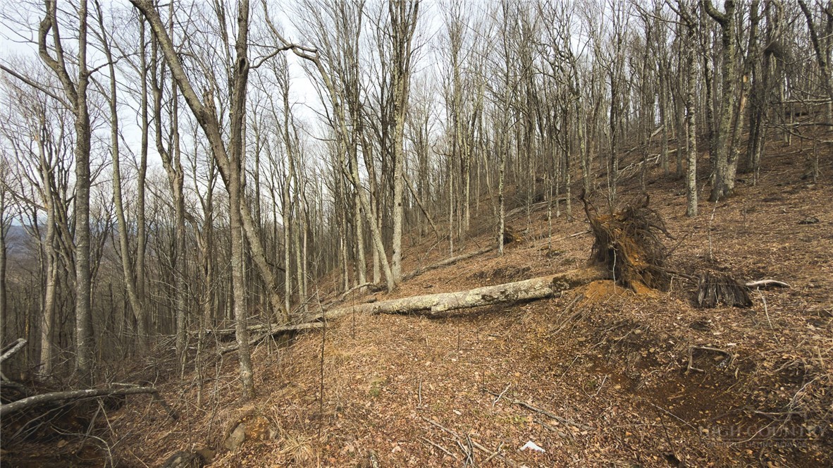 000 Tater Hill Road Property Photo 26