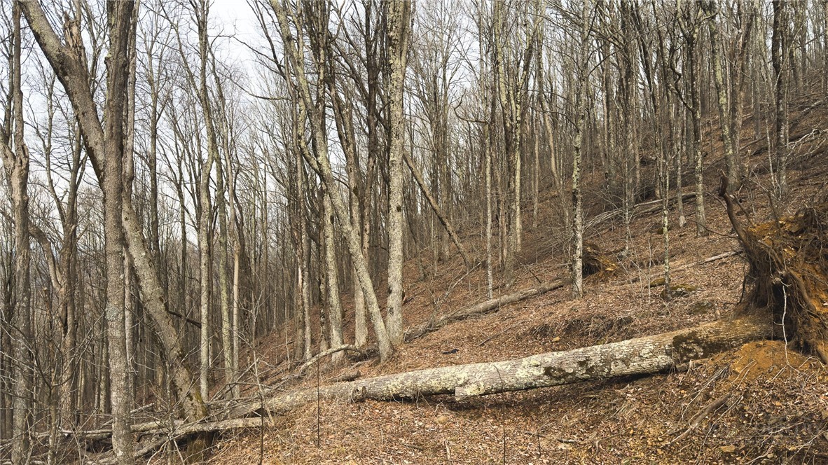 000 Tater Hill Road Property Photo 27