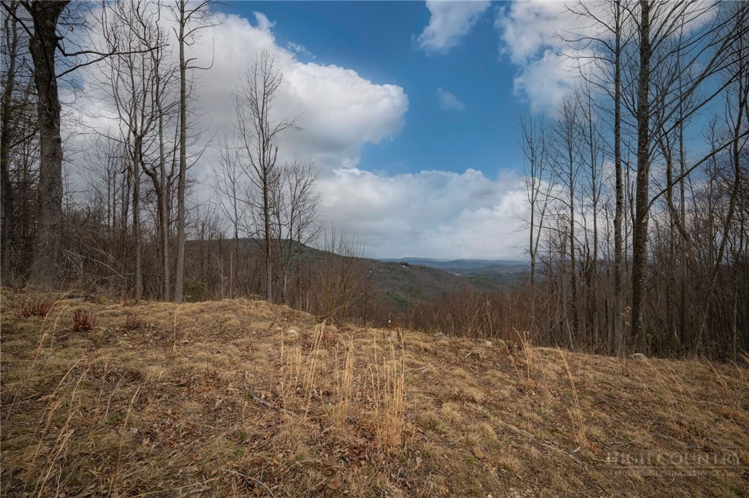 147 Angelfire Trail Property Photo 2