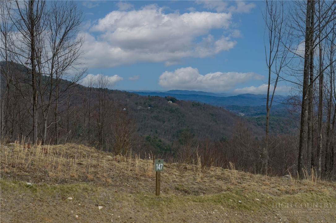 147 Angelfire Trail Property Photo 3