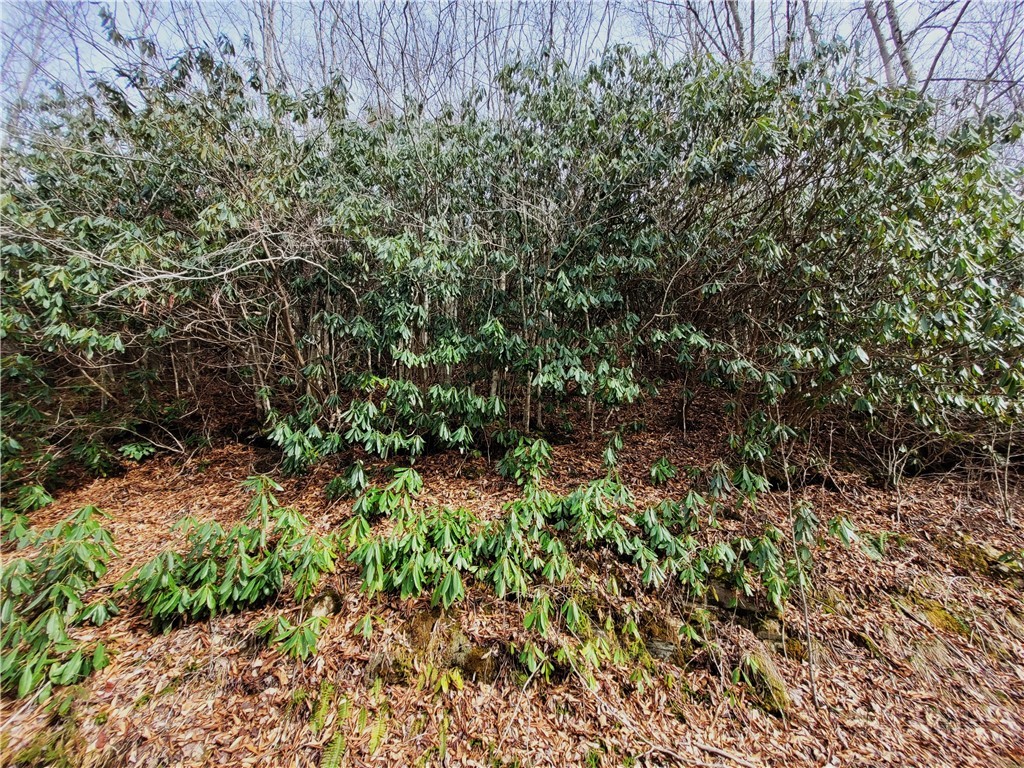 118 Deergrass Road Property Photo 1