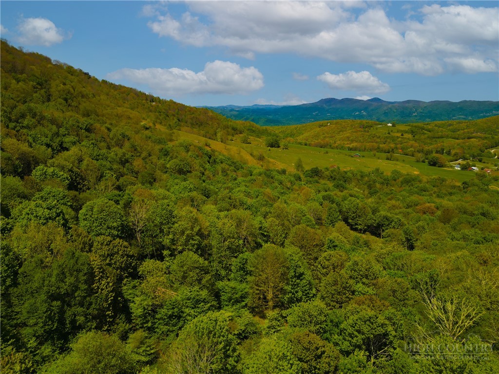 Lot 98 Eagle Peak Trail Property Photo 1