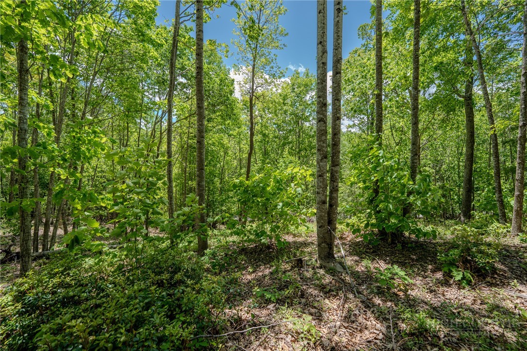 0 Beaver Dam Road