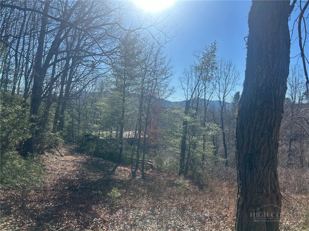 7889 Old Highway 16 Property Photo 1