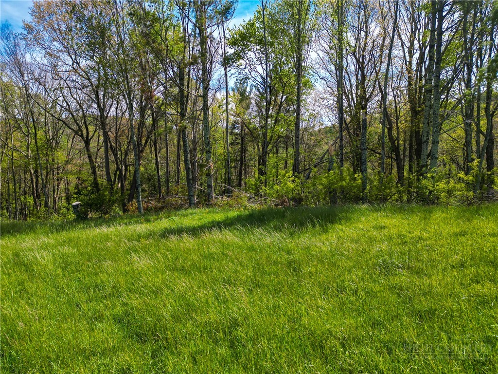 Lot Wr-39 Cloud Rest Drive Property Photo 13