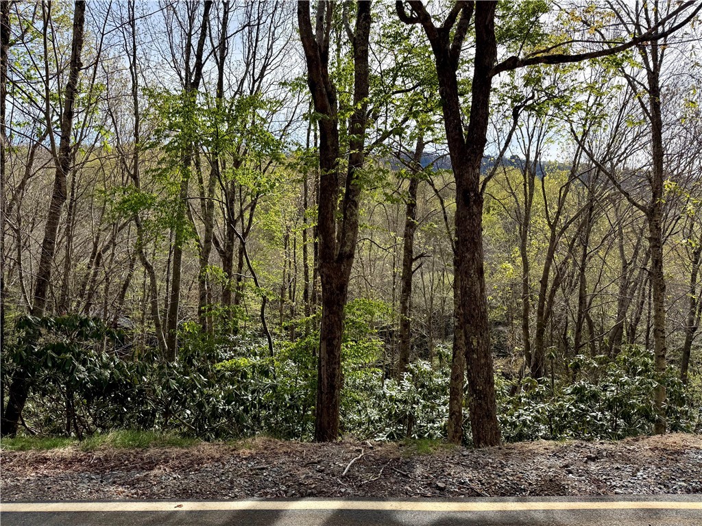 308 Overbrook Trail Property Photo 1