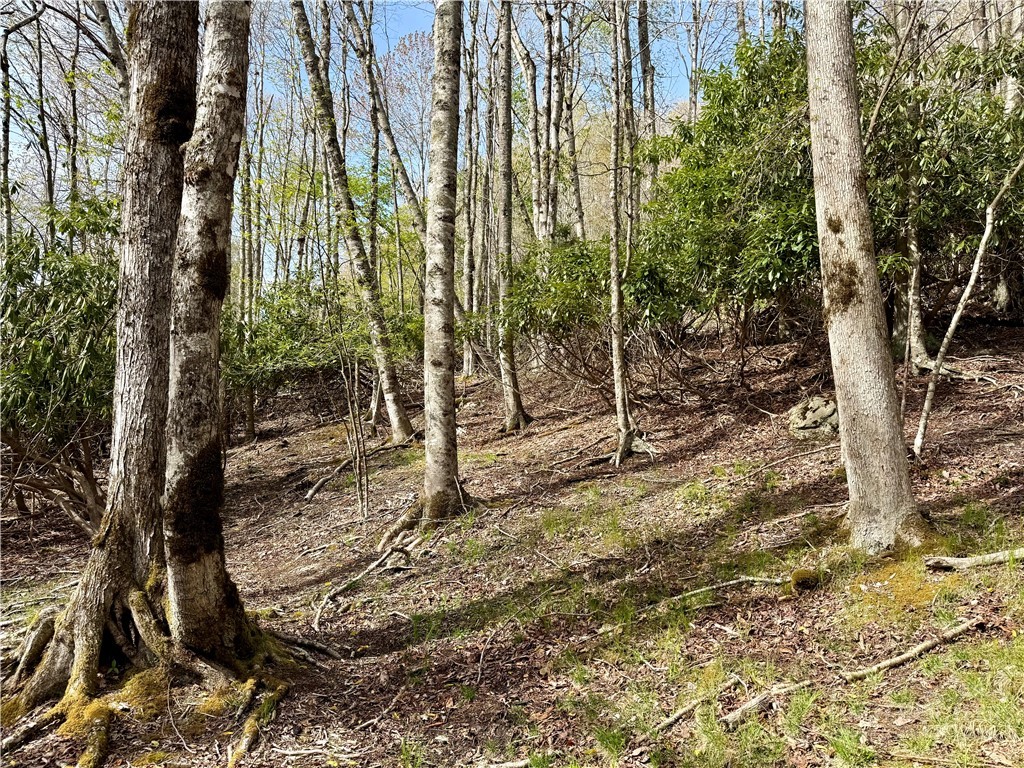 308 Overbrook Trail Property Photo 7