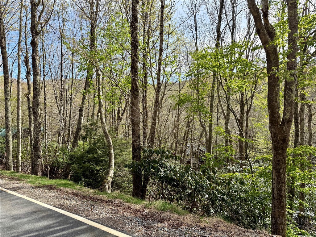 308 Overbrook Trail Property Photo 8
