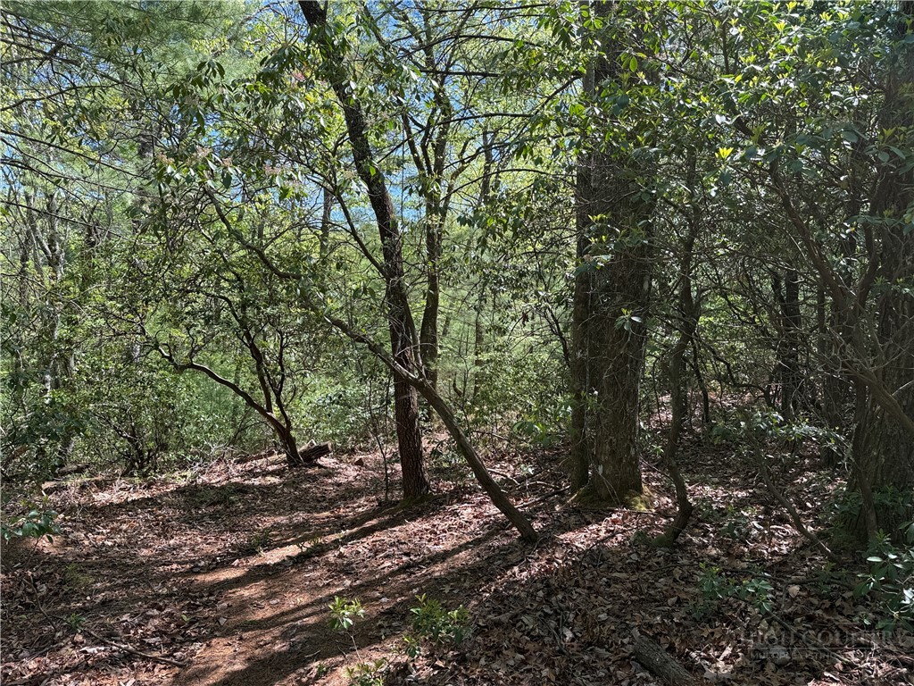 Lots 160 & 161 Staghorn Road Property Photo 14
