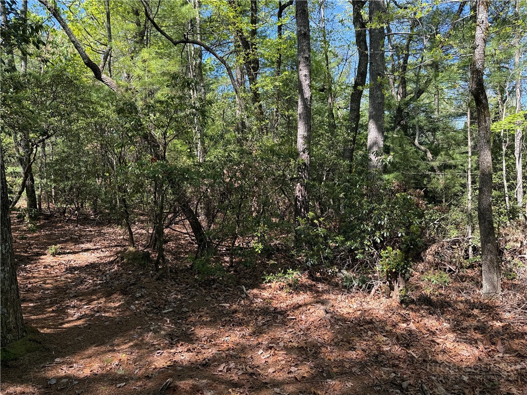 Lots 160 & 161 Staghorn Road Property Photo 15