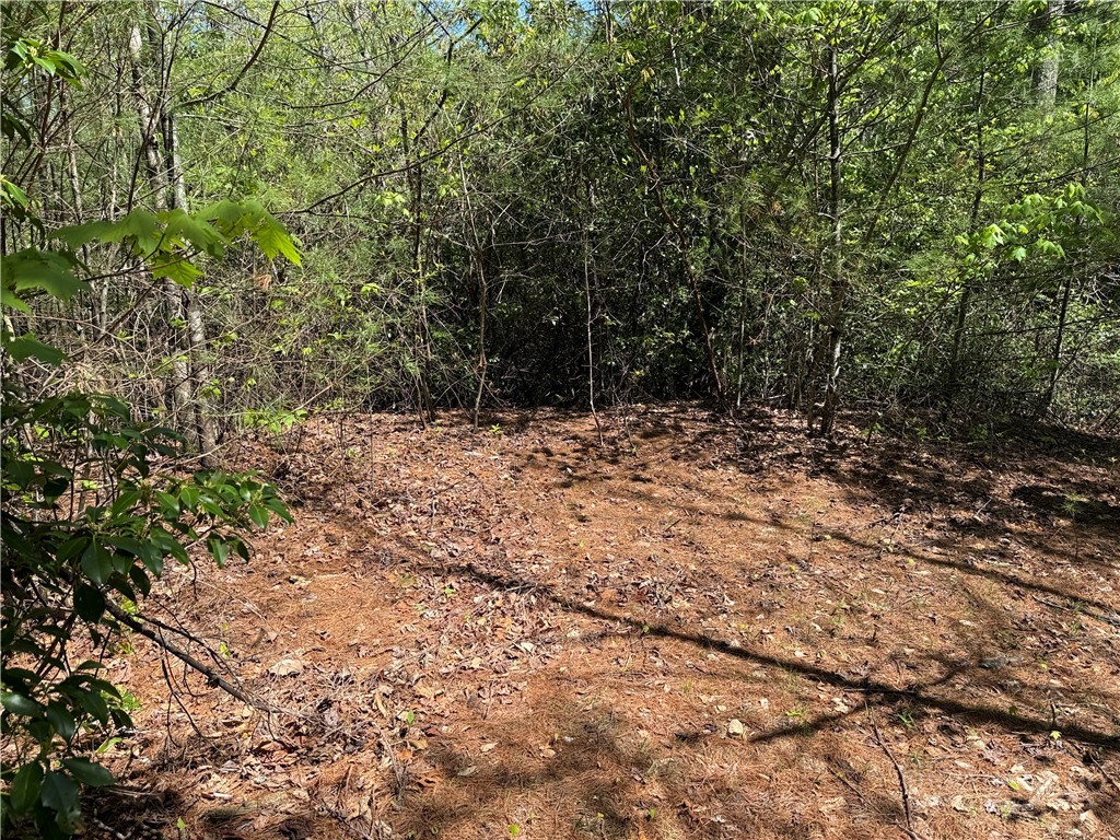Lots 160 & 161 Staghorn Road Property Photo 22