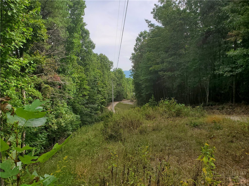 3924 Pearson Mountain Road Property Photo 1