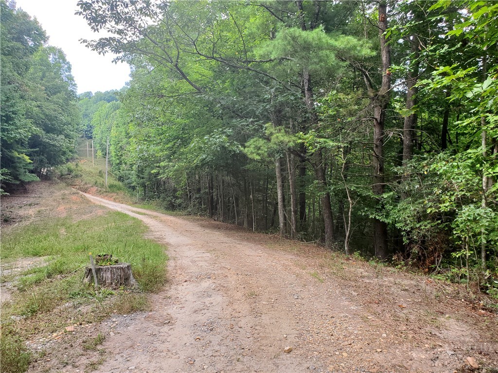 3924 Pearson Mountain Road Property Photo 2