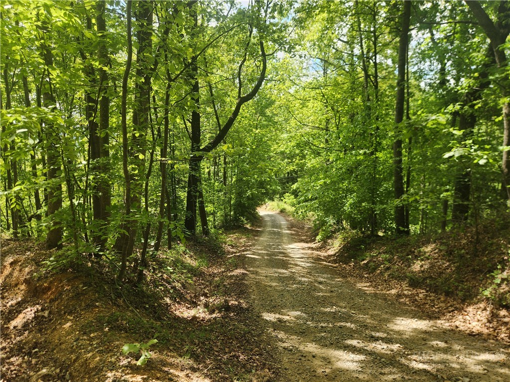 3924 Pearson Mountain Road Property Photo 3