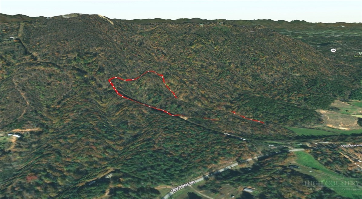 3924 Pearson Mountain Road Property Photo 5