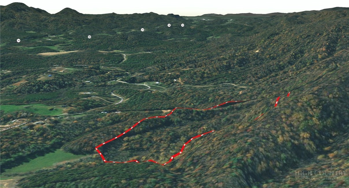 3924 Pearson Mountain Road Property Photo 6