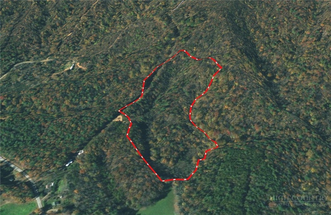 3924 Pearson Mountain Road Property Photo 7