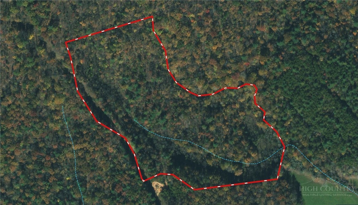 3924 Pearson Mountain Road Property Photo 9