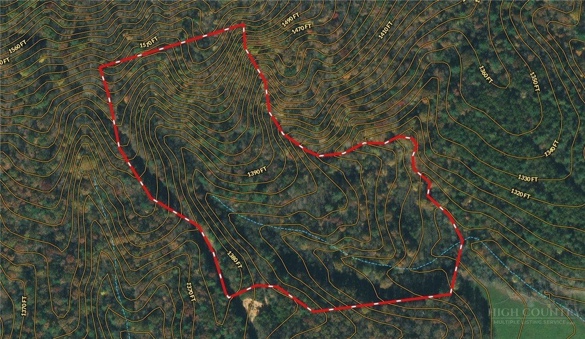 3924 Pearson Mountain Road Property Photo 12