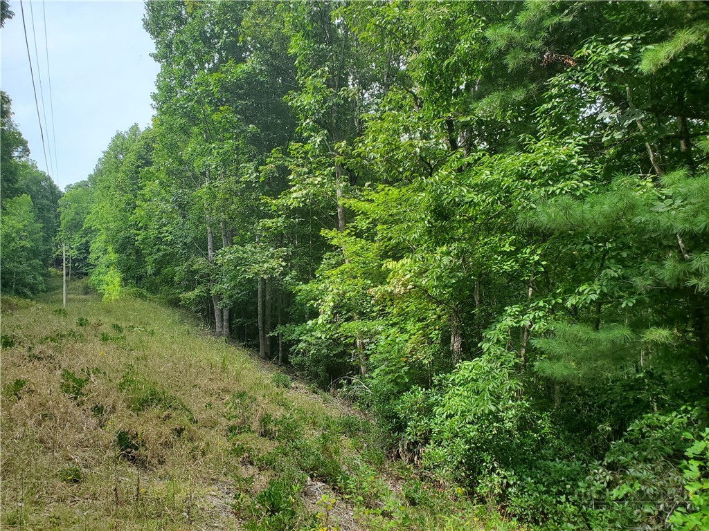 3924 Pearson Mountain Road Property Photo 18