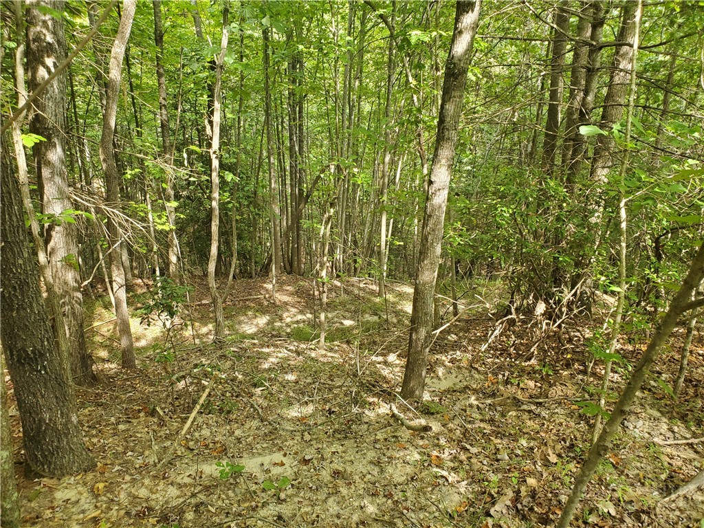 3924 Pearson Mountain Road Property Photo 19