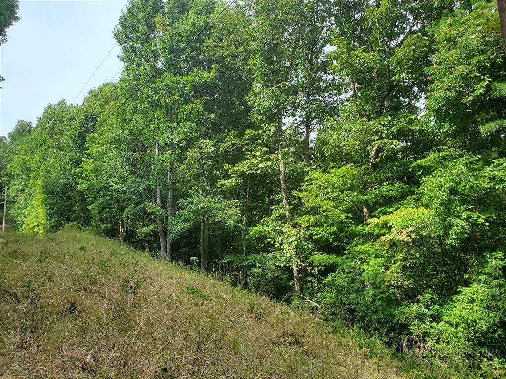 3924 Pearson Mountain Road Property Photo 20